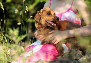 Animaux de compagnie acceptés