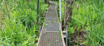 Ferienhaus in Alt Zeschdorf