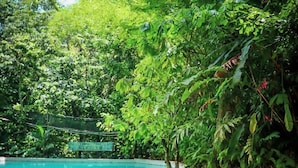 A poolside area with two wooden chairs and a table, surrounded by lush greenery. - Samana Tropical with DodoMap (Samaná)