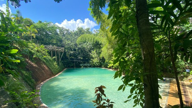 A natural pool surrounded by lush greenery and trees. - Samana Tropical with DodoMap (Samaná)