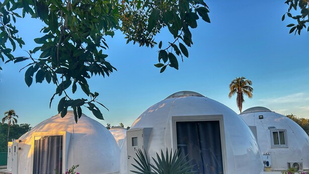 Filas de estructuras en forma de cúpula con una puerta central, rodeadas por un jardín con diversas plantas y una palmera.