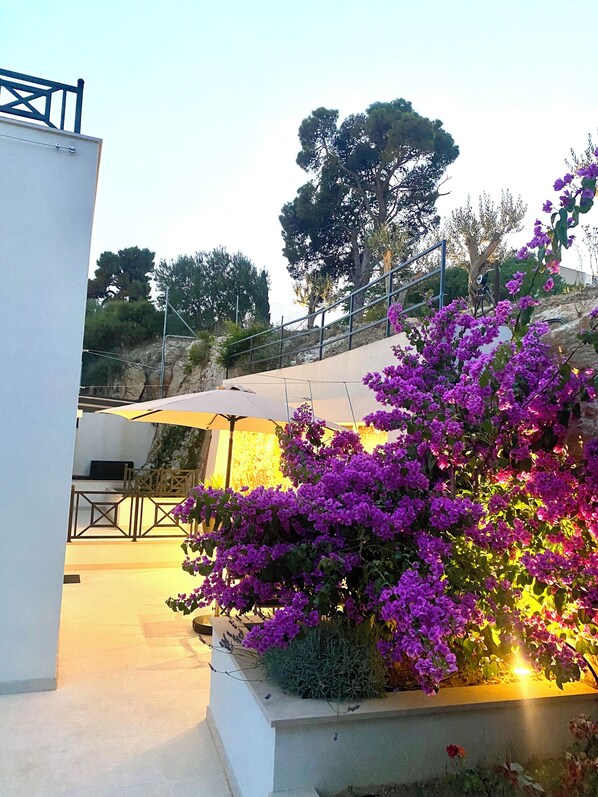 Overnatningsstedets område