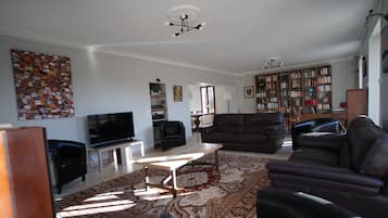 Televisie, een open haard, een dvd-speler en een stereo