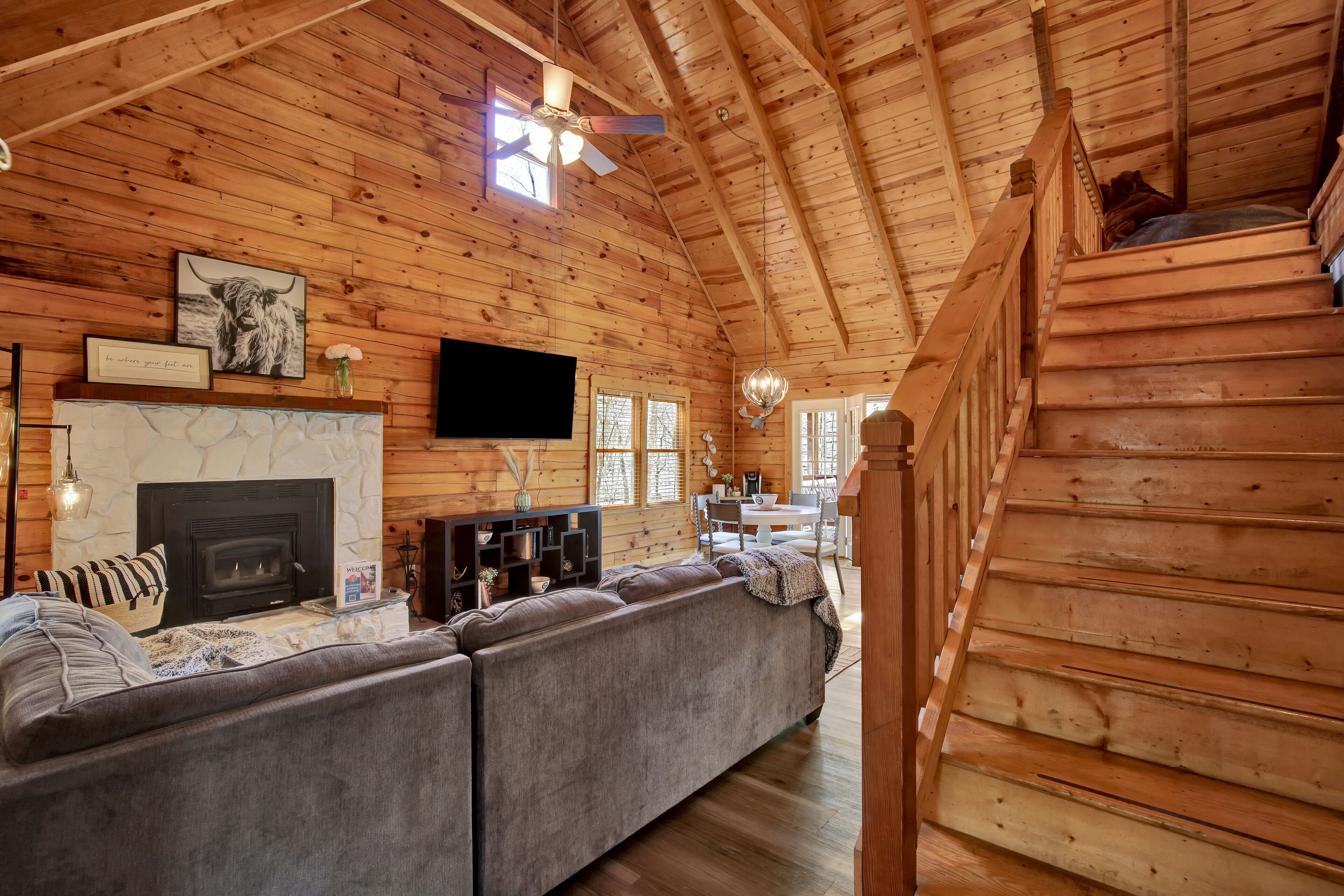 Smart TV, fireplace, video games