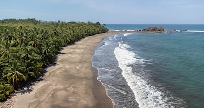 Beachfront Nature Rentals, Couple's Suite