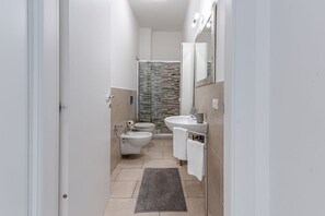 Shower, hair dryer, bidet, towels