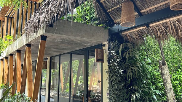A modern building with a thatched roof, large windows, and a pathway leading to a reception area. - Mar Botánico - Avellanas Beach Hotel (Veintisiete de Abril)
