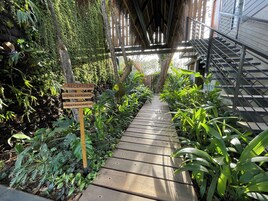 Un sendero de madera que conduce a la entrada de un hotel, rodeado de exuberante follaje y una escalera de metal.