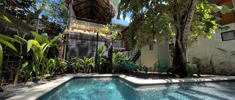 A swimming pool with a thatched-roof structure and green chairs nearby.