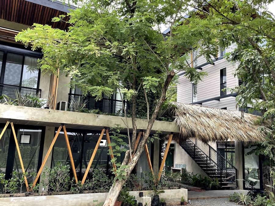 A modern building with a staircase, a thatched roof structure, and surrounding greenery.