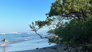 A beach with clear skies, calm waves, and a person walking with a surfboard. - Mar Botánico - Avellanas Beach Hotel (Veintisiete de Abril)
