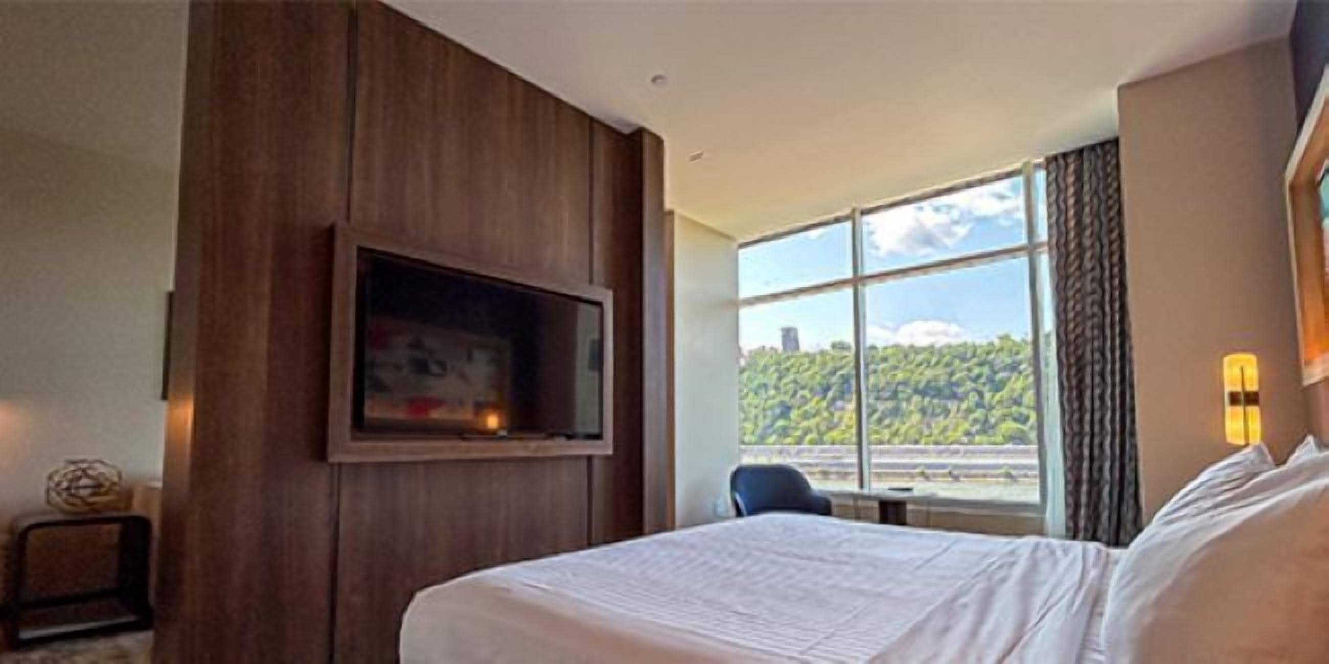 A hotel room with a large bed, a TV mounted on the wall, a window with a view of greenery, and a desk with a chair.