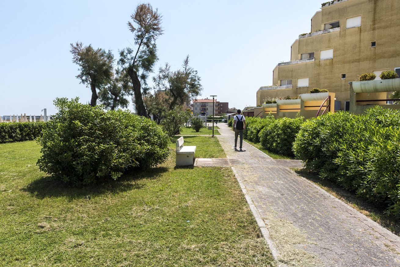 Un sendero conduce a un edificio de techo plano y varias ventanas, rodeado de vegetación y árboles.