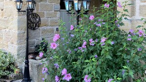 A stone building with a balcony, a wrought iron gate, and a flower box with pink flowers.