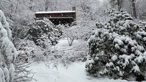 Una cabaña rodeada de árboles y arbustos cubiertos de nieve.
