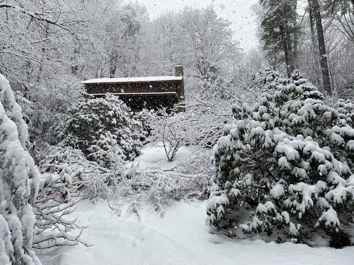 Imagen de perfil del propietario o de la propietaria