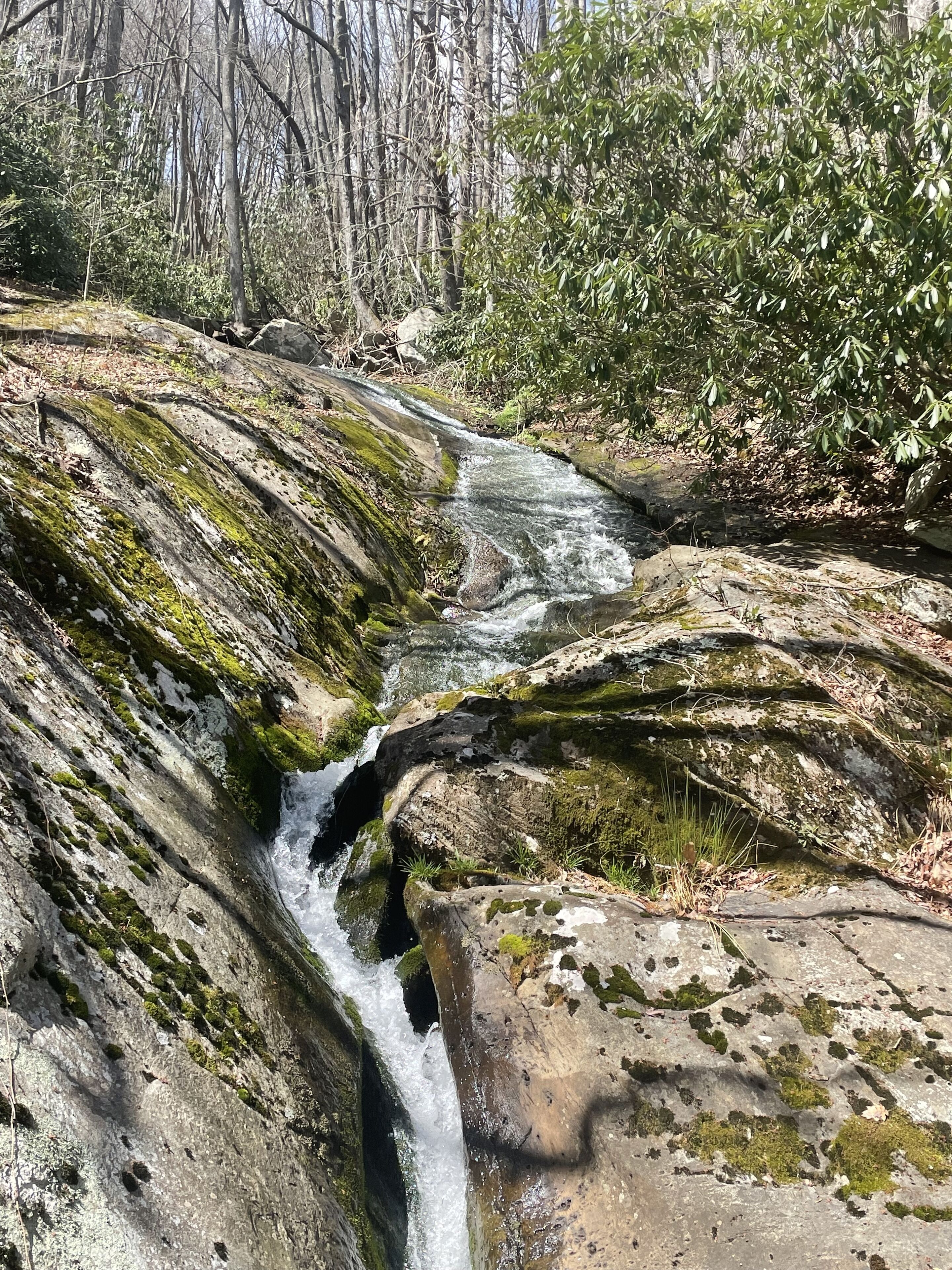 A natural water stream flowing over rocks in a forested area.