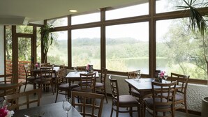 A restaurant with multiple wooden tables and chairs, large windows offering a view of a lake and forest, and a hanging plant in the center. - Hotel y Cabañas Las Mellizas - Caja Los Andes (Los Angeles)
