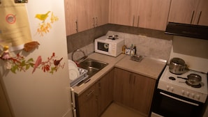 都會雙人房, 1 張加大雙人床, 非吸煙房, 城市景 | 共用廚房 | 微波爐、焗爐、爐具、小烤箱