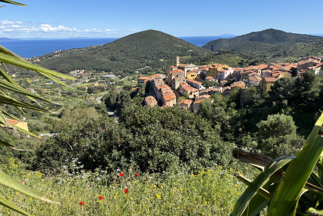 A coastal village with traditional architecture, a church, and a view of the sea.