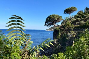 Unclassified image, 3 of 76, button