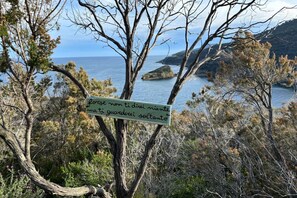 Miscellaneous - Villa Il Guardingo in Rio Elba (Rio Nell'Elba)