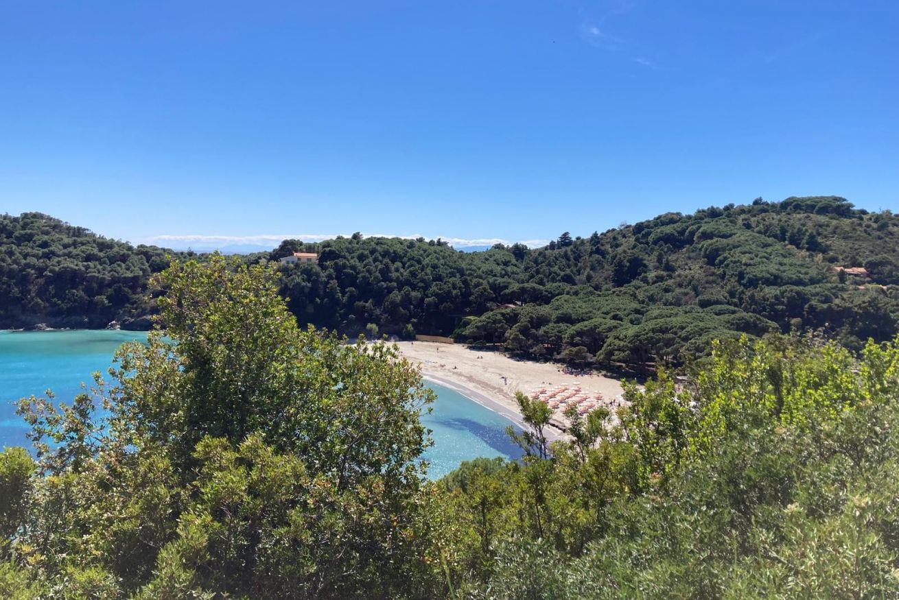 Un paysage côtier comprenant une plage, une forêt dense et des eaux bleues et limpides.