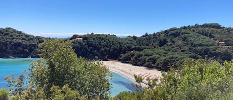 海灘