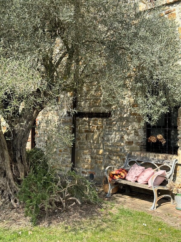 Terrace/patio - Villa Natura Piemonte With Private Pool (Piemonte)