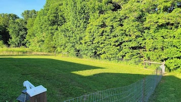 Ulkoalueet