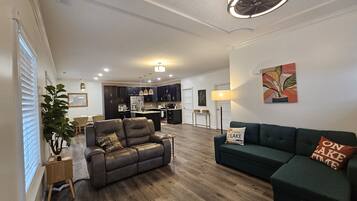 Smart TV, chimenea, videojuegos, reproductor de DVD