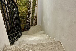 Una escalera con barandilla metálica que lleva a una habitación con pared blanca y vistas a abedules.