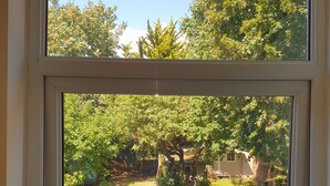 A window with a view of a garden and a house.