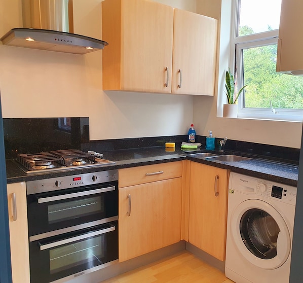 Apartment | Private kitchen | Fridge, microwave, oven, stovetop