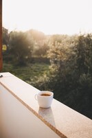 House, 4 Bedrooms, Private Pool | View from property