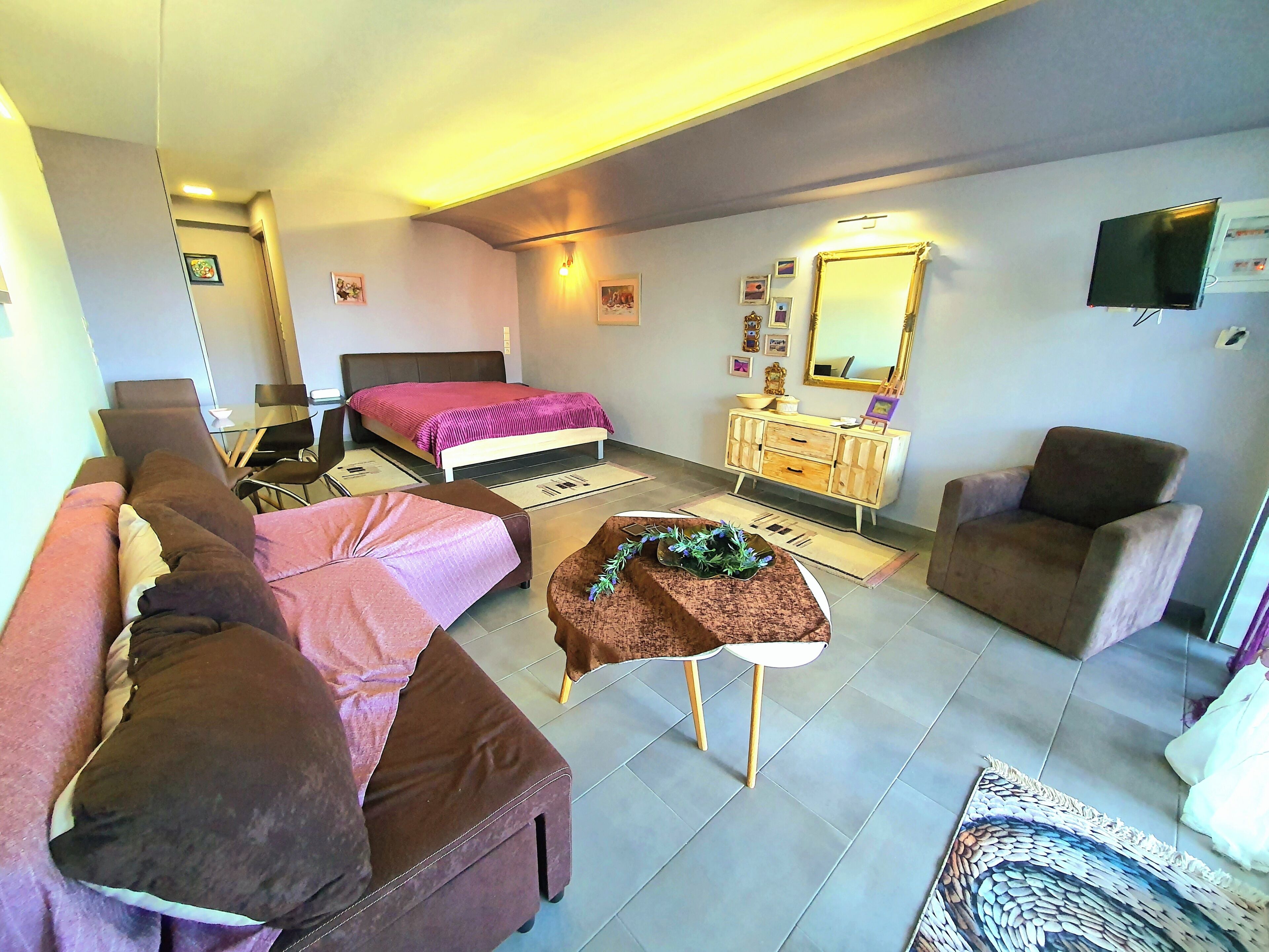 Una sala de estar moderna con un sofá, una cama, una mesita con una planta, un armario y un televisor.