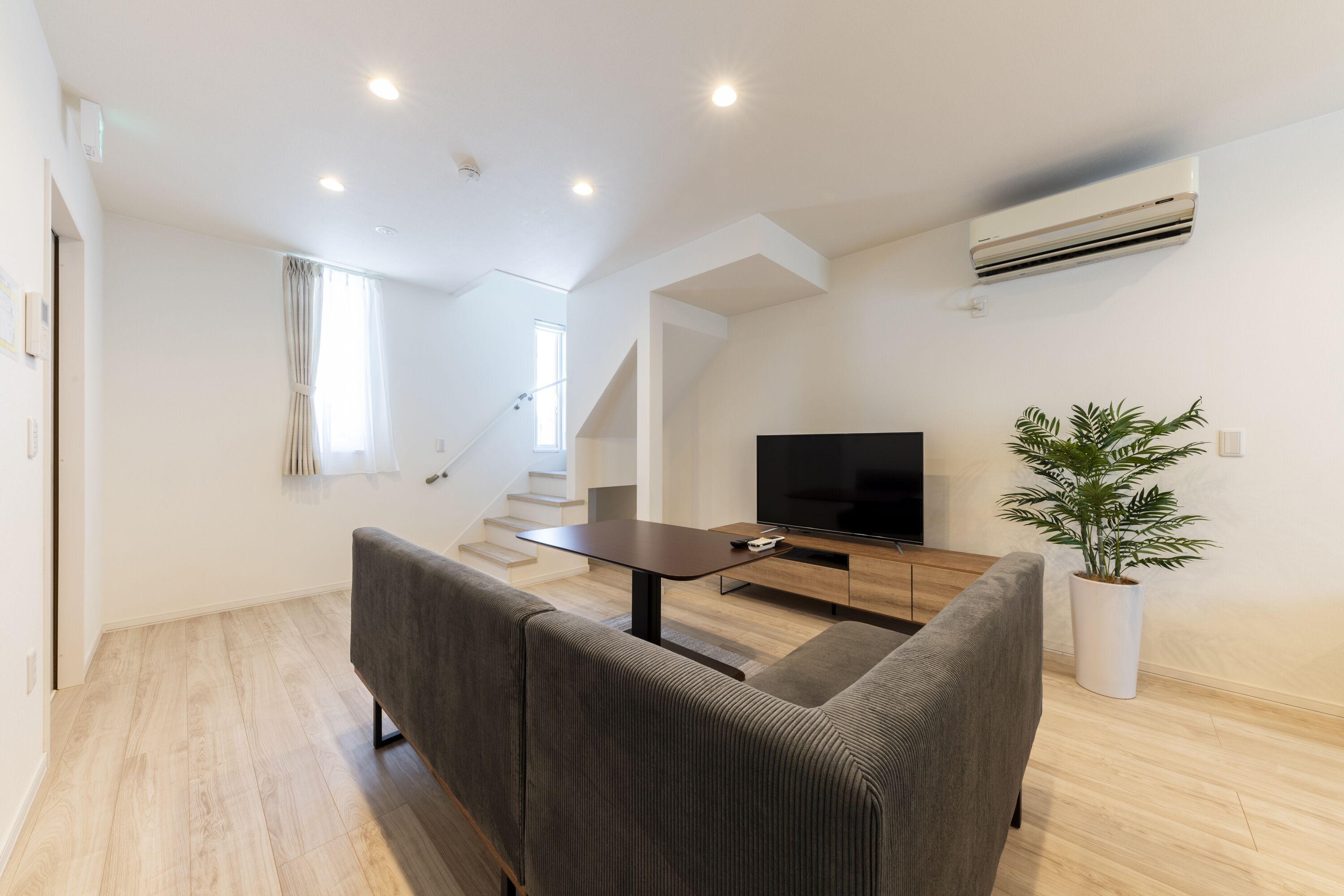 A modern living room with a sofa, a coffee table, a flat-screen TV, and a potted plant.