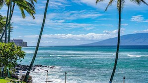A beach with palm trees, a picnic table, and a rocky shoreline. - Top floor ocean view 2bd condo (Lahaina)