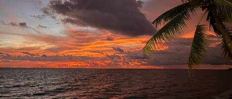 A sunset over the ocean with palm trees in the foreground.