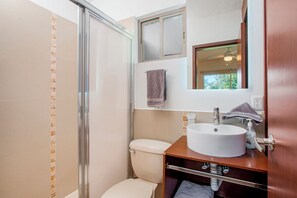 淋浴设施、毛巾、卫生纸