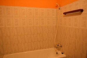 Rom, 1 soverom, tilgjengelighetstilpasset, røyk | Dusj på badet