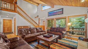 TV, fireplace, books