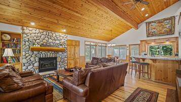 TV, fireplace, books