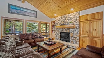 TV, fireplace, books