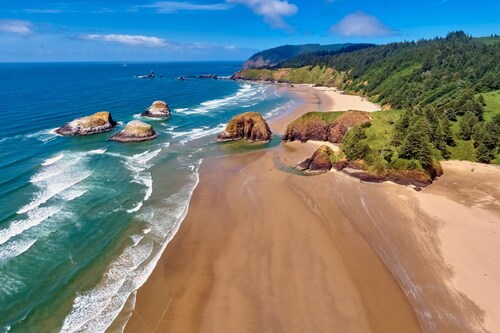 Coastal Comfort Cabin, Private Hot Tub, 3 Blocks to Beach, Pet Friendly, New Decor and Furnishing