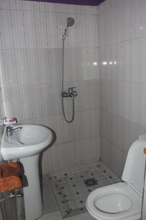 Shower, towels