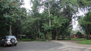 Une allée pavée mène à un chalet rustique entouré d’une forêt dense.