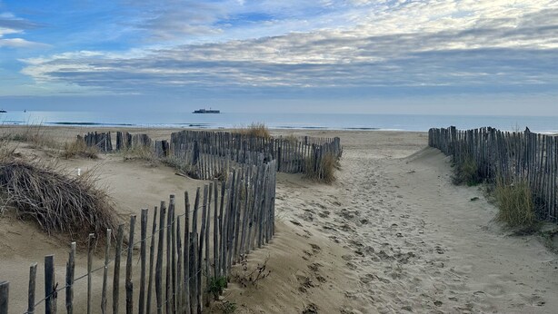 A sandy beach with a wooden fence and a ship in the distance. - Appartement Front de Mer, Pleine Vue Mer, 5 Per, Wifi, Piscine, Animaux Acceptés (Agde)