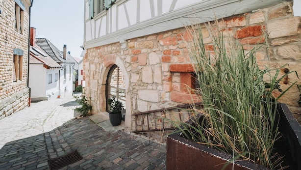 A narrow cobblestone street with historic stone buildings, a visible archway, and a planter with tall grass.