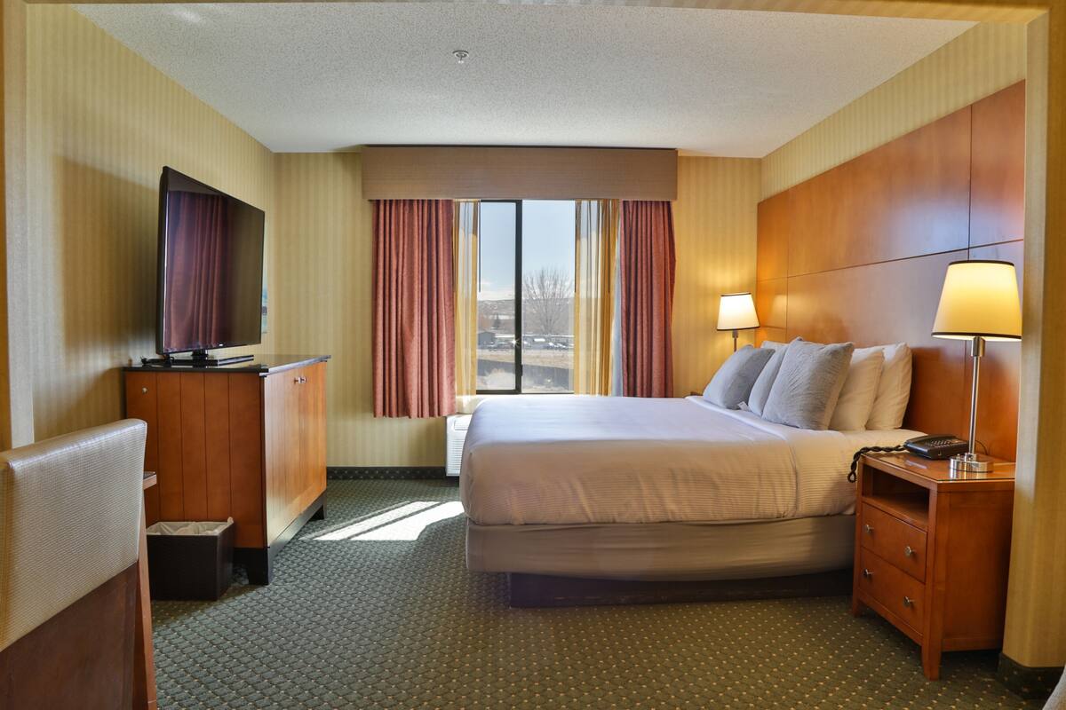 A hotel room with a bed, bedside lamps, a TV, and a view of the outdoors.